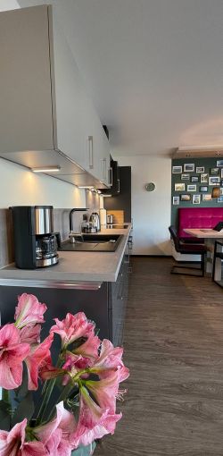 haus diemelsee kueche